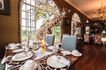 Giraffe Manor Holidays & Hotel Stays • Freedom Destinations Giraffe Manor Hotel, Mombasa Beach, Giraffe Manor, Carlton Hotel, Boston Hotels, Balloon Flights, Holiday Hotel, Online Sweepstakes, Safari Lodge