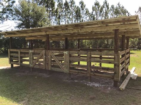 Front view 2 breezy outdoor 12' horse stalls. Allbritton's Outdoor Solutions, Inc in Geneva, FL Outdoor Stalls For Horses, Outdoor Horse Stalls, Horse Corral Ideas, Stalls Ideas, Small Horse Barns, Horse Shed, Livestock Shelter, Goat Shelter, Horse Farm Ideas