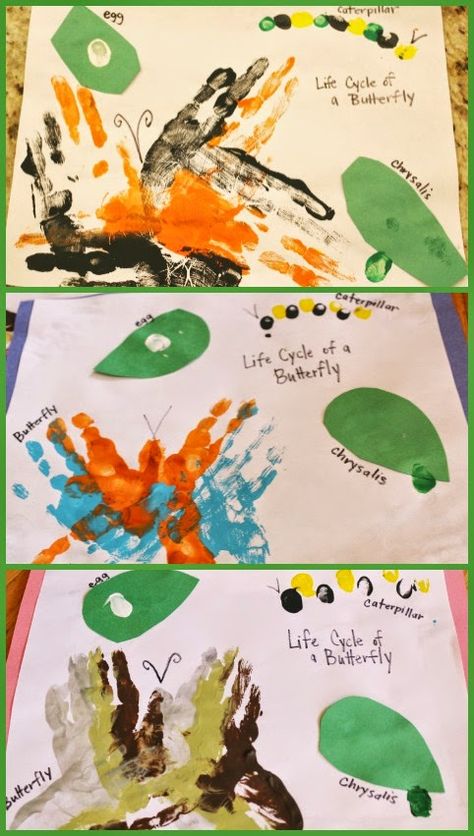 Handprint Life Cycle of a Butterfly Preschool Life Cycle Activities, Butterfly Life Cycle Kindergarten, Butterfly Life Cycle Art, Butterfly Life Cycle Preschool, Insects Crafts, Preschool Butterfly, Life Cycles Kindergarten, Butterfly Lifecycle, Life Cycles Preschool