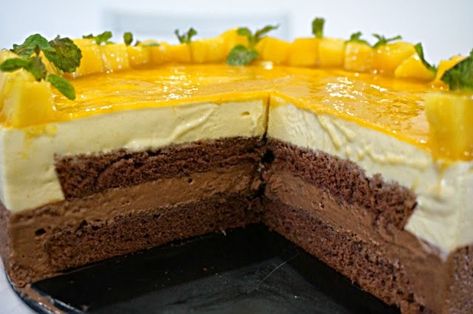 Kitchen Corner: Mango Chocolate Mousse Cake Japanese Cotton Cheesecake, Mango Mousse Cake, Mango Chocolate, Cotton Cheesecake, Mousse Cake Recipe, Mango Mousse, Dessert Cakes, Mango Cake, Sponge Cake Recipes