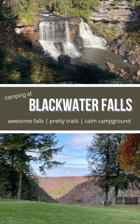 A review of camping in Blackwater Falls State Park in Davis, WV including site reviews, hike recommendations and local places to try. Blackwater Falls State Park, Monongahela National Forest, Blackwater Falls, Allegheny Mountains, Muddy Dog, Picnic Spot, Book Sites, Water Activities, Camping And Hiking