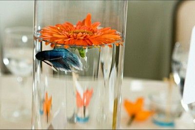 Fish Wedding Centerpieces, Beta Fish Centerpiece, Fish Centerpiece, Boda Ideas, Fishing Wedding, Beta Fish, Fishing Diy, Floating Flowers, Vase Centerpieces