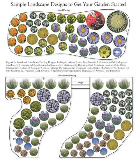 Native Backyard Garden Design, Front Yard Landscaping Midwest Native Plants, Xeriscape Midwest, Native Garden Layout, Garden Plant Design, Native Plant Landscaping Midwest, Native Landscaping Design, Best Landscaping Plants For Midwest, Pollinator Yard Design