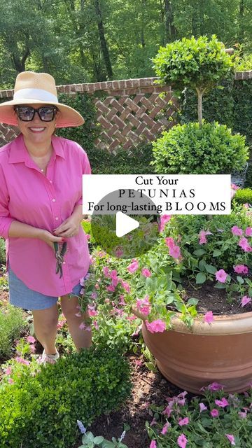 Carmen Johnston Gardens on Instagram: "If you want beautiful petunias all summer long, follow these three tips💕" How To Prune Petunias, Caring For Petunias, Petunias In Pots, Wave Petunias Planter, Wave Petunias Flower Bed, Petunia Problems, Boogie Shoes, Petunia Flower, Summer Planter