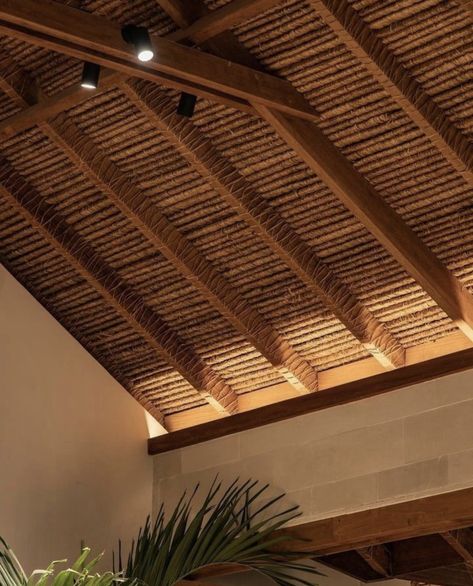 Bamboo Roof, Tropical Interior, Rooftop Terrace Design, Florida Room, Wood Roof, Terrace Design, Home Building Design, Ceiling Design, Building Design