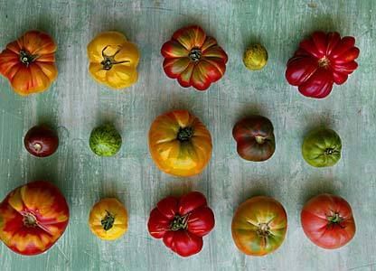 Summer ratatouille Types Of Tomatoes, Fresh Fruit Recipes, Summer Tomato, Heirloom Vegetables, Tortellini Soup, Cauliflower Soup, Food Photography Styling, Food Garden, Heirloom Tomatoes