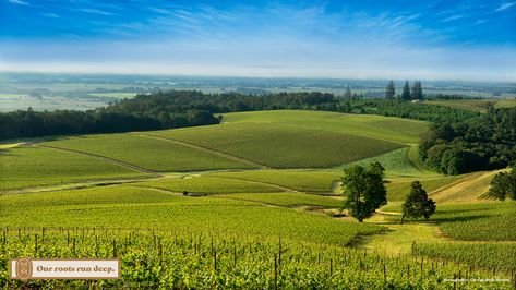 11 Virtual Backgrounds from McMinnville's Backyard | Visit McMinnville Oregon Town, Desert Plains, Oregon Bucket List, Oregon Coast Road Trip, Mcminnville Oregon, Snow Covered Mountains, Things To Do In Portland, Oregon Wine Country, Smith Rock State Park