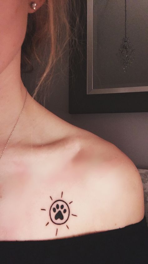 Tattoo for my kitty. . • • • • #tattoos #tattoo #smalltattoo #suntattoo #cattattoo #cat #catlove #catlovers #sunshine #sunshinetattoo #sunshineonmyshoulder #newtattoo #daintytattoo #delicatetattoo #shouldertattoo #collarbonetattoo Dog Sun, Kitty Tattoos, Sunshine Tattoo, Sun Dogs, Delicate Tattoo, Collar Bone Tattoo, Sun Tattoo, Dainty Tattoos, Tattoo Inspo