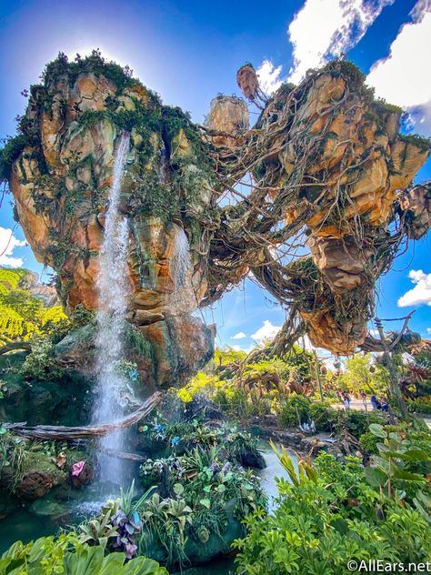 16 Stunning Disney World Wallpapers to Bring a Little Magic to Your Phone or Desktop - AllEars.Net Walt Disney World Florida, Disneyworld Wallpaper, Disney World Phone Wallpaper, Disney World Wallpaper, Avatar Disney World, Disney World Photos, Disney World Countdown, Avatar Disney, Disney Phone Backgrounds