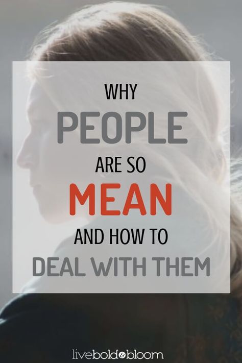 How To Deal With People Who Put You Down, How To Deal With Disrespectful People, How To Deal With Mean People, How To Respond To Mean People, Why Are People So Mean Quotes, Why Are People Mean, Why Are People So Mean, People Are So Mean, Mean Spirited People