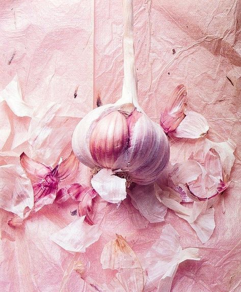 pink garlic. Tout Rose, Pink Foods, Food Photography Styling, Everything Pink, Clueless, Beautiful Food, Color Textures, Color Rosa, Food Styling