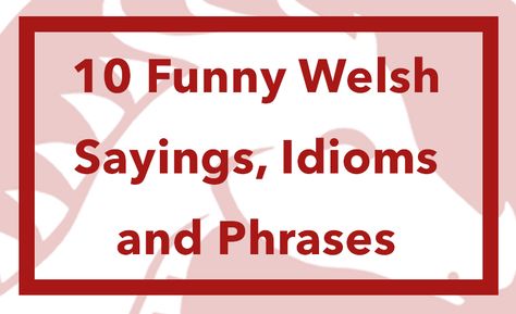 10 Funny Welsh Sayings, Idioms and Phrases – We Learn Welsh Welsh Sayings Quotes, Welsh Quotes, Learning Welsh, Welsh Phrases, Welsh Sayings, Learn Welsh, Quotes For Mugs, Welsh Words, Welsh Language