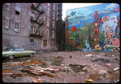 South Bronx 1970s, Bronx 1970s, 1970s Photos, Bodega Cat, Breathtaking Photography, Gordon Parks, New York Pictures, 70s Aesthetic, City Pictures