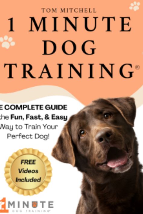 Read my review of this new dog training book by Tom Mitchell. Find out how you can train your dog in micro 1 minute training sessions. How to bond and get the very best from your dog using positive reinforcement techniques, kindness, calmness and consistency Dog Training Books, Animal Behaviorist, Dogs Lover, Dog Books, Training Academy, Dog Blog, Psychological Thrillers, Positive Reinforcement, Book Blogger