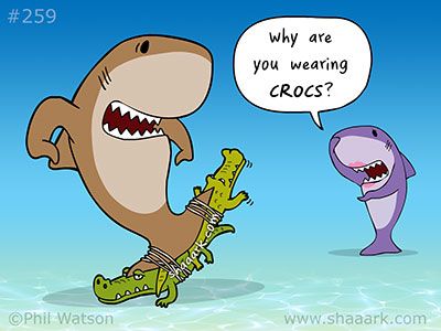 Wearing Crocs Sharks Cartoon, Shark Week Funny, Shark Jokes, Shark Meme, Friend Stuff, Happy Images, Sharks Funny, Cute Shark, Shark Party