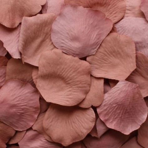 Antique Pink Silk Rose Petals Rose Petal Aisle, Fake Rose Petals, Vowel Renewal, Rose Petals Wedding, Aisle Runners, Silk Rose Petals, Aisle Runner Wedding, Flower Girl Baskets, Wedding Petals