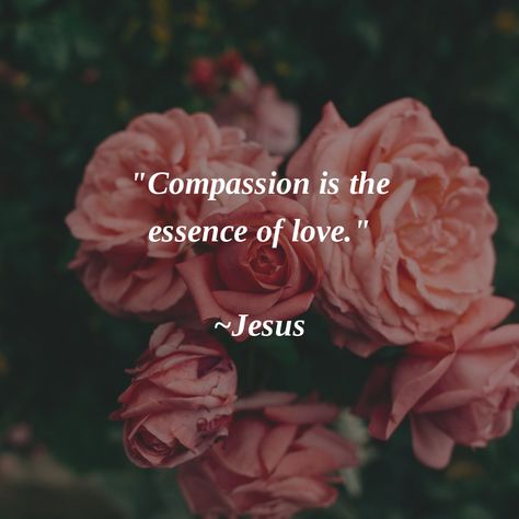 "Compassion is the essence of love." ~Jesus #Compassion Compassion Aesthetic, Beautiful Soul Quotes, Equine Massage, Compassion Quotes, Soft Launch, Selfless Love, Love And Compassion, Bible Images, Love Jesus