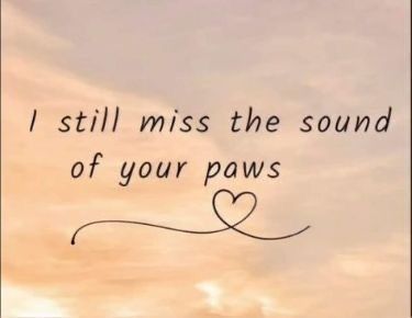 Losing A Pet Quotes, Pet Portrait Tattoos, Dog Phrases, Dog Heaven Quotes, Pet Poems, Dogs Quotes, Miss My Dog, Portrait Tattoos, Animal Tattoo Ideas