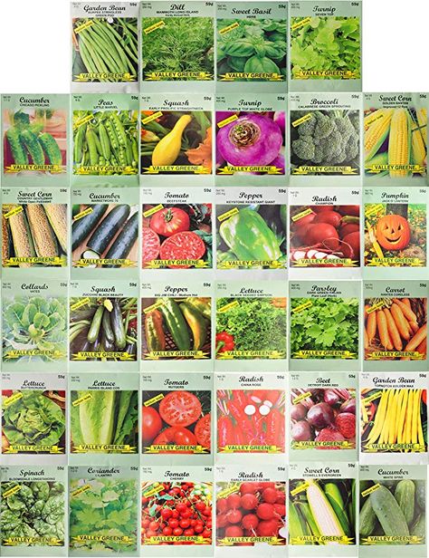 Amazon.com : Set of 34 Pack Vegetable & Herb Seeds 34 Varieties Create a Deluxe Garden All Seeds are Heirloom, 100% Non-GMO! by Black Duck Brand 34 Different Varieties : Garden & Outdoor Inflatable Palm Tree, Vegetable Seeds Packets, Bistro Patio Set, Diy Herb Garden, Garden Food, Heirloom Vegetables, Gardening Vegetables, Vegetable Seeds, Ideas For House