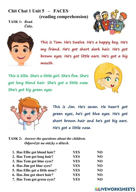 Daily Routine Worksheet, Personality Adjectives, Reading For Kids, Describing People, Face Parts, English Language Course, English For Beginners, Face Reading, Basic English