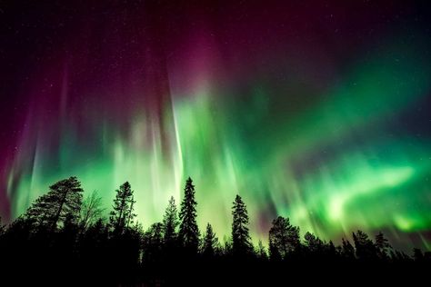 Northern Lights Cruise, Spirit Animal Quiz, Northern Lights Viewing, Geomagnetic Storm, Aurora Borealis Northern Lights, See The Northern Lights, Solar Flare, Light Pollution, Places In Europe