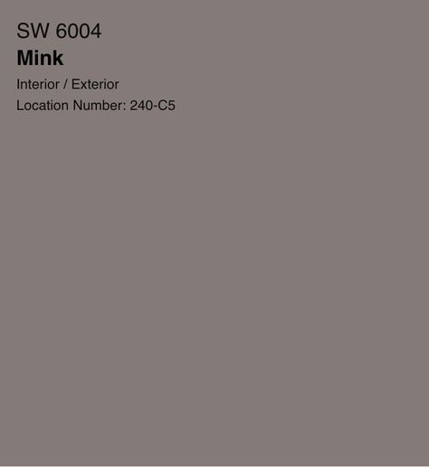 Mink Sherwin Williams, Sw Mink, Sherwin Williams Mink, Stucco Paint, Sherman Williams, Bedroom 2024, Mink Colour, Neutral Paint Color, Neutral Paint Colors