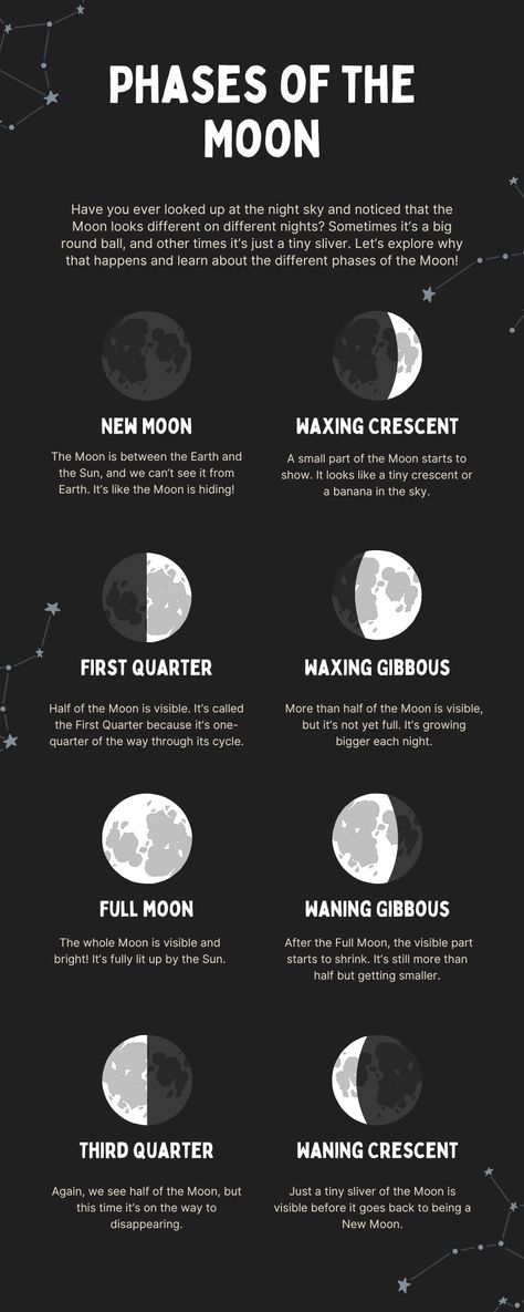 Moon shapes #moon#learningaboutspace Types Of Moons, Moon Phases For Kids, Moon Phases Science, Moon Phases Meaning, Moon Glyphs, Moon Lessons, Moon Phase Chart, Solar System Facts, Moon Chart