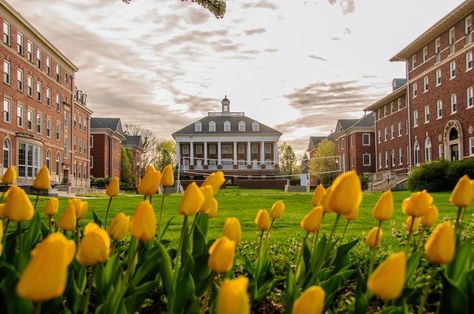 DePauw University, Greencastle, IN Depauw University, University Architecture, African Mango, Sorority Life, College Campus, College Hacks, Alma Mater, College Life, School College