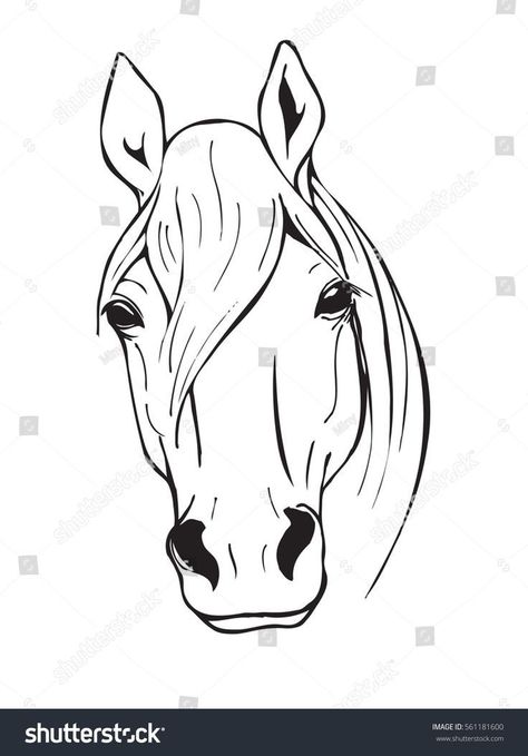 Picture Of Horse, Horse Head Drawing, Animal Black And White, Horse Stencil, Horse Tattoo Design, Horse Art Drawing, Black And White Vector, Idee Cricut, Horse Coloring Pages