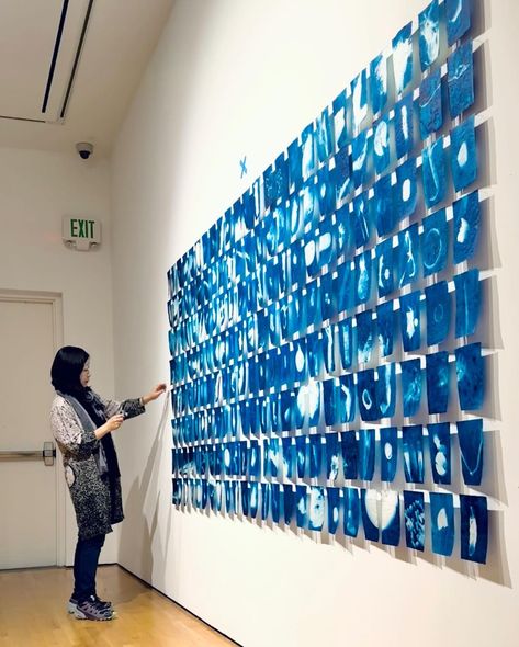 “Shore to Shore / From the Mississippi to the Arctic Ocean.” Cyanotype prints of river plastic debris found on the bank of the… | Instagram Arctic Ocean, Mississippi River, The Bank, Mississippi, Louisiana, Instagram