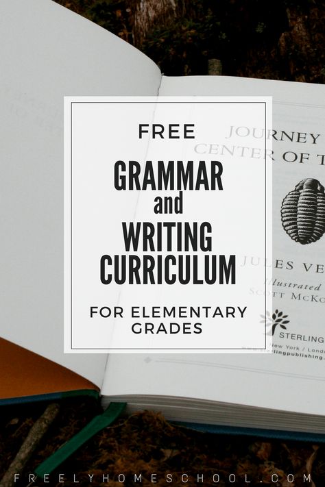 College Instructor, Homeschool Writing Curriculum, Homeschool Family, Free Homeschool Curriculum, English Curriculum, Writing Curriculum, Reading Curriculum, Homeschool Writing, Homeschool Education