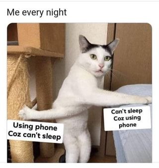 Sleep Meme, Can't Sleep, True Memes, Drama Memes, Cant Sleep, Memes Br, Funny Cat Memes, Life Memes, Edgy Memes