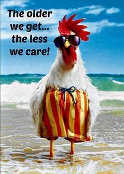 Birthday Wishes Funny, Happy Birthday Funny, Funny Happy Birthday, Seriously Funny, Birthday Meme, Funny Happy, Happy Birthday Quotes, A Chicken, E Card