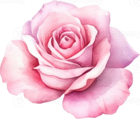 Pink Rose Flower Watercolor. AI Generated Pink Rose Icon, Rose Watercolor Painting, Flower Pic, Pencil Inspiration, Pink Rose Flower, Flower Watercolor, Rose Icon, Gcse Art, Backgrounds Phone Wallpapers