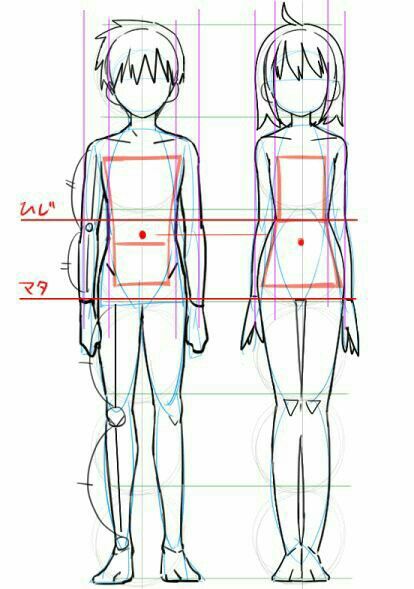 Drawing Anime Bodies, Body Outline, Manga Tutorial, Anime Tutorial, Body Drawing Tutorial, Manga Drawing Tutorials, Boy Illustration, Sketches Tutorial, 캐릭터 드로잉