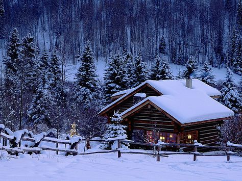 would love to spend Christmas in something like this someday! how cozy and perfect is this? Christmas Animated, Snowy Cabin, A Cabin In The Woods, Tree Pictures, Snow House, Moving Images, Winter Szenen, Winter Cabin, Cabin Living