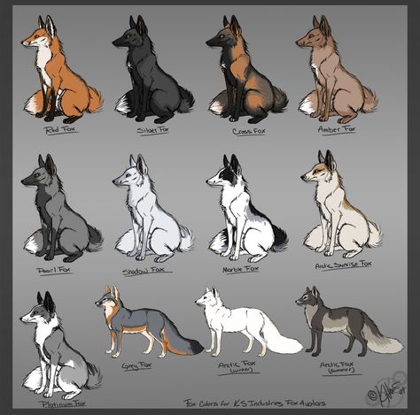 fox color chart Fox Drawing, Fox Pictures, Canine Art, Pet Fox, Pretty Animals, Animal Facts, Fox Art, Animal Sketches, Cute Fox