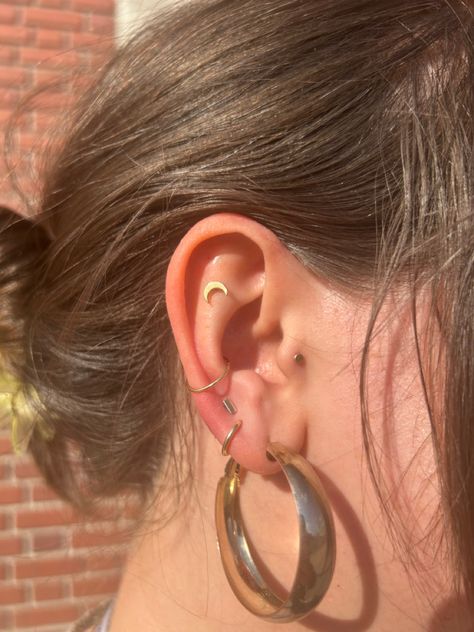 earrings conch helix tragus lobes triple solid gold Conch And Flat Piercing, Conch And Tragus Piercing, Triple Conch Piercing, Double Conch, Piercing Placement, Triple Lobe Piercing, Earrings Conch, Ear Curation, Flat Piercing