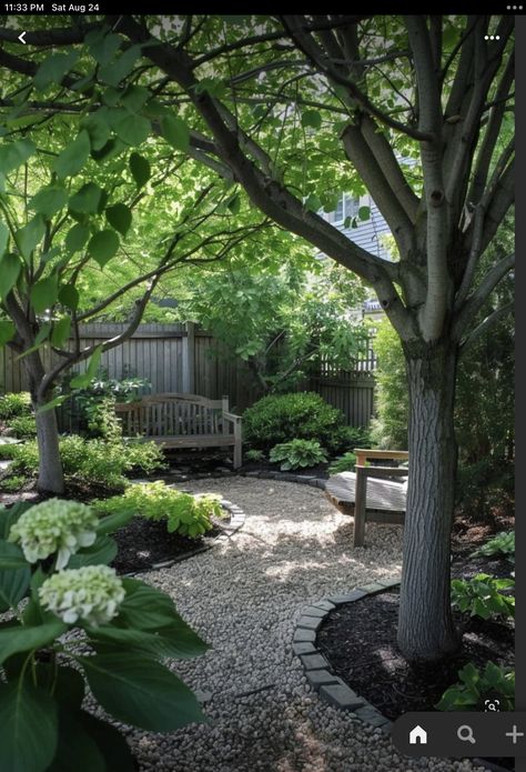 Grassless Yard, Courtyard Gardens Design, Gravel Garden, Backyard Landscaping Ideas, Side Garden, Have Inspiration, Forest Garden, Garden Yard Ideas, Courtyard Garden