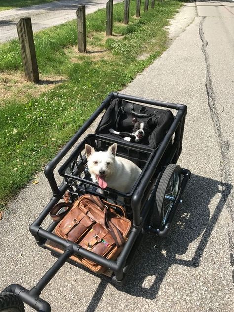 Pvc Bike Trailer, Bike Trailer Diy, Bike Wagon, Bicycle Sidecar, Bicycle Trailers, Bike Cargo Trailer, Bike Cart, Bicycle Diy, Dog Trailer