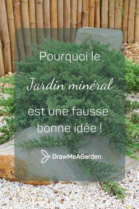 Une tendance esthétique mais un défi d'entretien ! Attirant par son esthétique minimaliste et son allure zen, le jardin minéral demande pourtant une attention particulière pour son entretien. 👀 A Garden, Zen