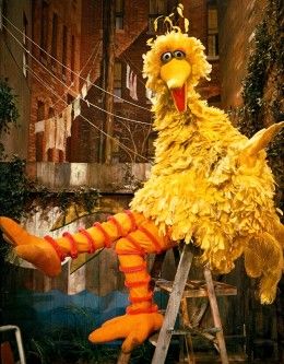 duck idea Fnaf Redesigns, Big Bird Costume, Big Bird Sesame Street, Sesame Street Muppets, Sesame Street Characters, Disney Fairies, Jim Henson, Kids Tv, Inspiring Images