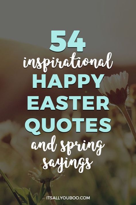 Happy Easter! Ready to celebrate Easter and spring’s arrival? Click here for 54 inspirational Happy Easter quotes and wishes, including non-religious and Christian quotes that are cute and funny. Easter Quotes Religious, Resurrection Quotes, Easter Quotes Christian, Happy Easter Religious, Easter Inspirational Quotes, Swan Quotes, New Life Quotes, Happy Easter Quotes, Easter Prayers