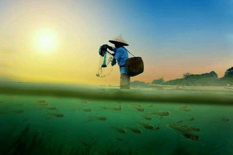 Indonesian Cuisine, Sun Rise, The Net, Bali, Favorite Places, Sun, Photography