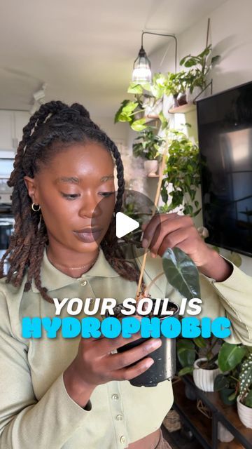 Blossom Effect on Instagram: "Let me help you with your dry, crusty, crunchy soil 🪴💦 Soil can become hydrophobic when it is lacking organic matter and becomes too dry. Make sure to add nutrients to your soil by adding plant food and/or @instantplantfood soil probiotics #hydrophobic #plantmom #plantlover" Hydrophobic Soil, January 23, Organic Matter, Plant Mom, Plant Food, Plant Lover, Probiotics, Diy Garden, Make Sure