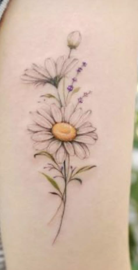 Compass With Daisy Tattoo, Daisy And Lilac Tattoo, Dragonfly Daisy Tattoo, Budding Flower Tattoo, Watercolour Daisy Tattoo, Wild Flower Tattoos For Women, Daisy And Bee Tattoo, Small Feminine Tattoos Classy Simple, Dasie Flower Tattoo