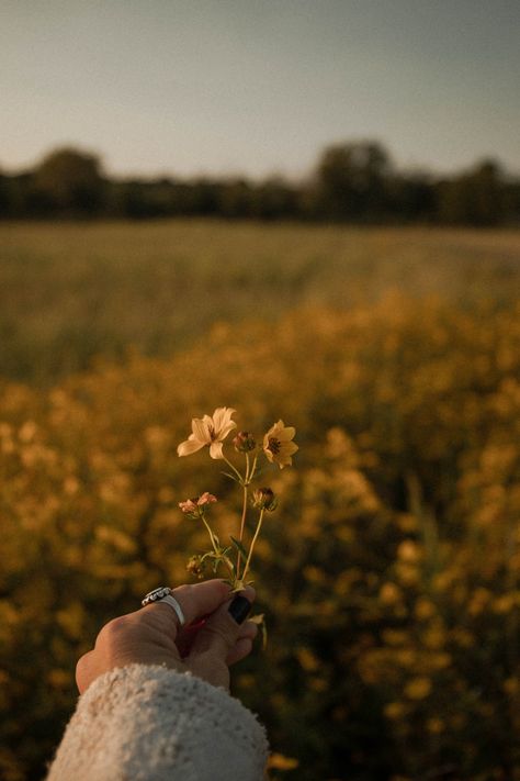 Feminine Photography, Fall Portraits, Mood Images, Background Photos, Camille Pissarro, Portrait Session, Simple Things, Nature Aesthetic, Aesthetic Vintage