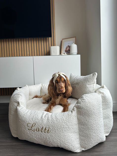 Luxury Dog Bedroom, Dog Bed In Bedroom, White Dog Bed, Fancy Dog Beds, Unique Dog Beds, Luxury Dog Bed, New Puppy Checklist, Dog Bedroom, Luxury Pet Beds