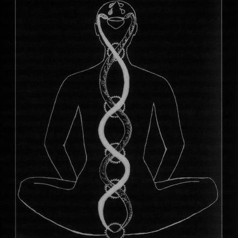 All Posts • Instagram Consciousness Tattoo, Kundalini Tattoo, Caduceus Tattoo, Cobra Tattoo, Tattoo Diy, Serpent Tattoo, Kundalini Awakening, Cosmic Consciousness, Consciousness Art