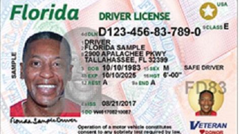 Florida Driving License, Driving Theory Test, Dmv Test, Driving Theory, Licence Test, Learners Permit, Theory Test, Passport Online, Id Card Template